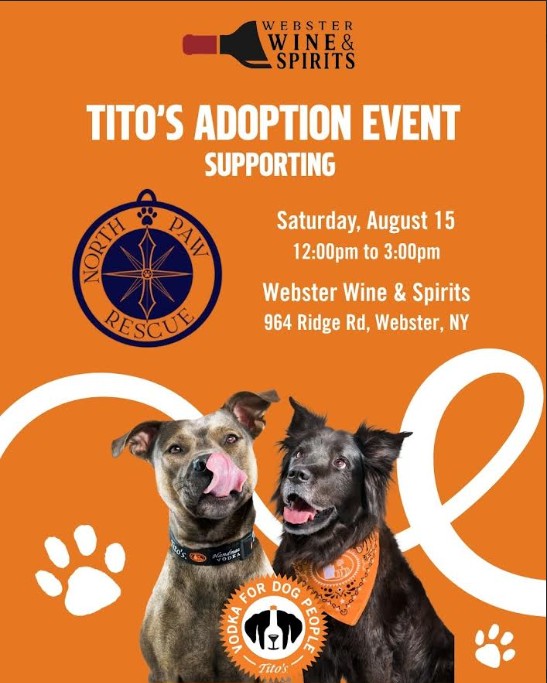 Tito's Dog Adoption Event!