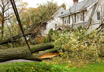 storm-damage-repair-service