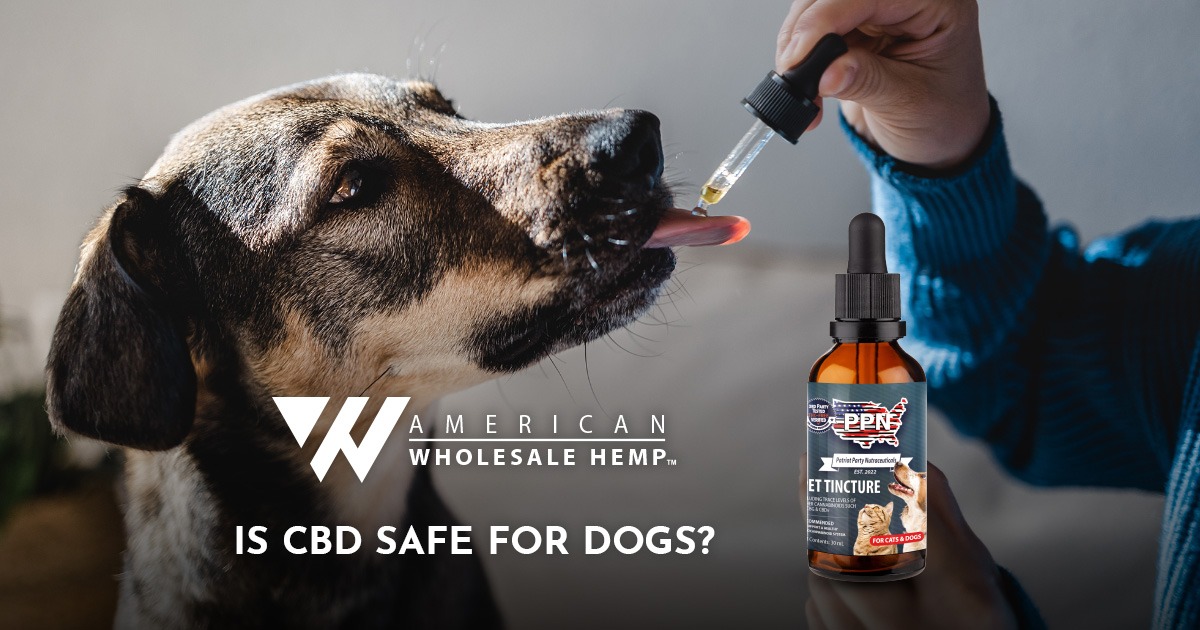 Is CBD Safe for Dogs?
