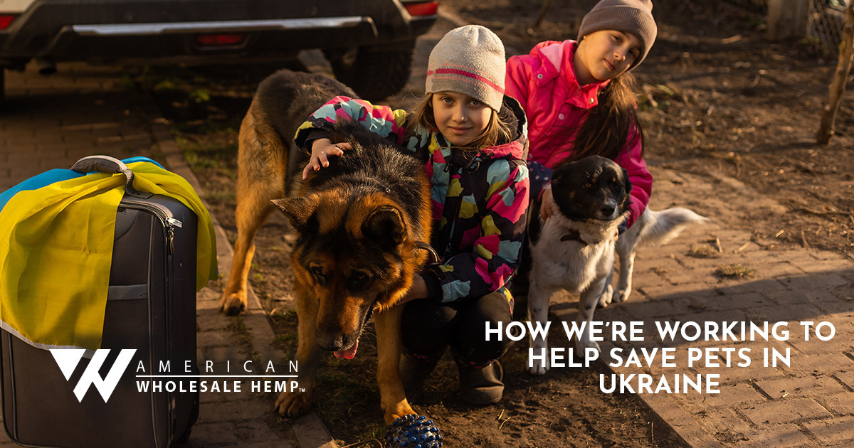 children with dogs