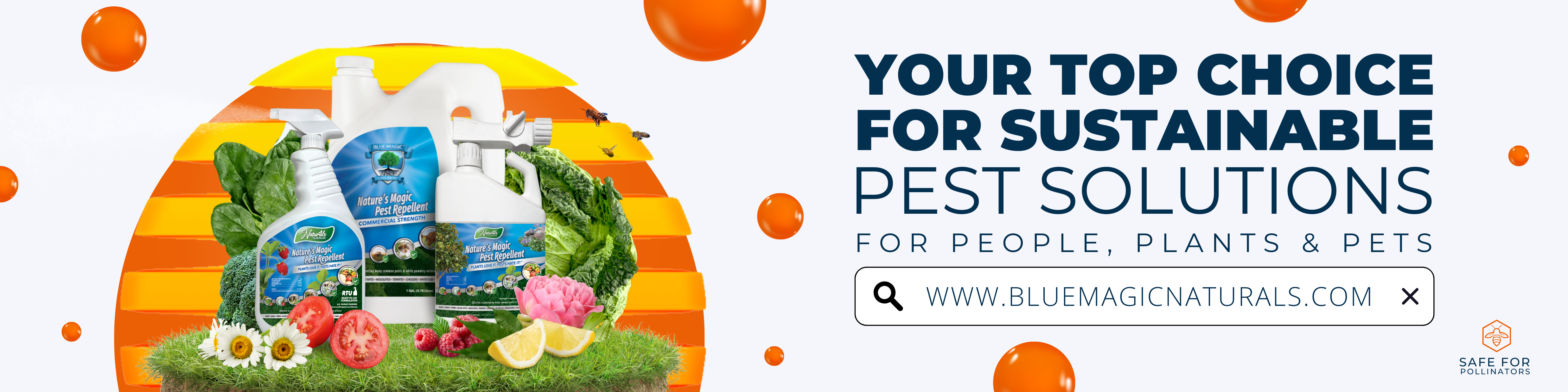 Header banner image