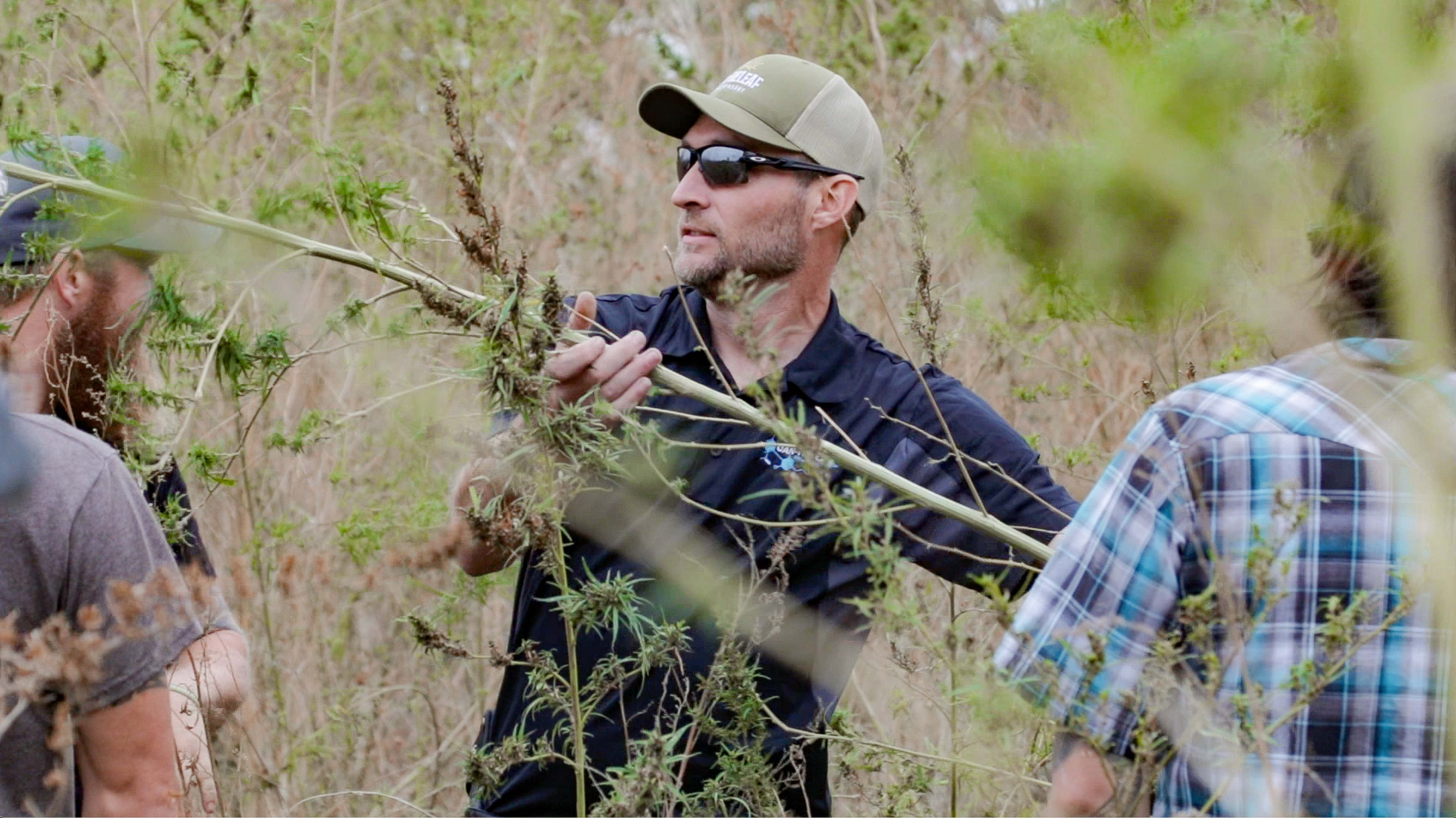farmer ryan in the field, ceo of american wholesale hemp