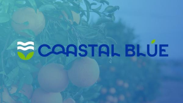 coastal blue at american wholesale hemp