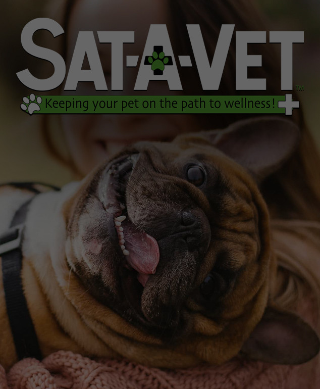 Sat-A-Vet™