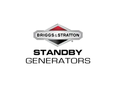 Briggs & Stratton