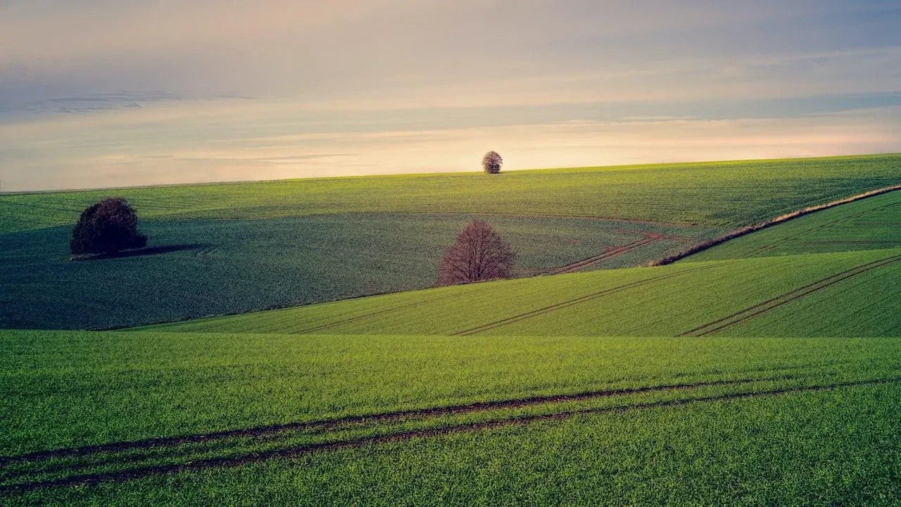 Energy Services for Homes and Businesses in Syracuse, NY