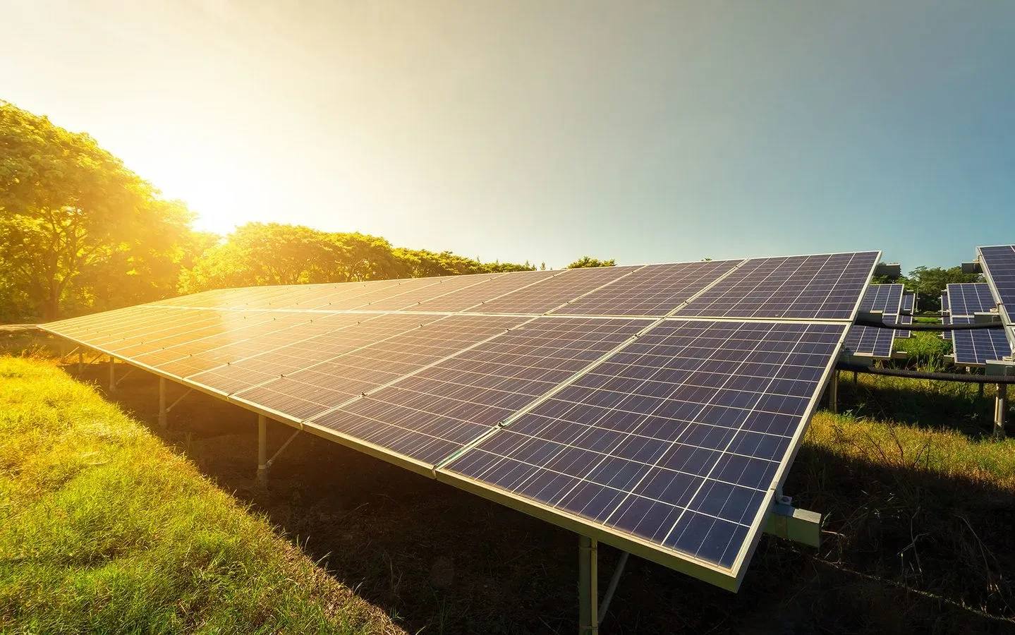 Large solar panels on a grassy field with sunlight shining brightly in the background.