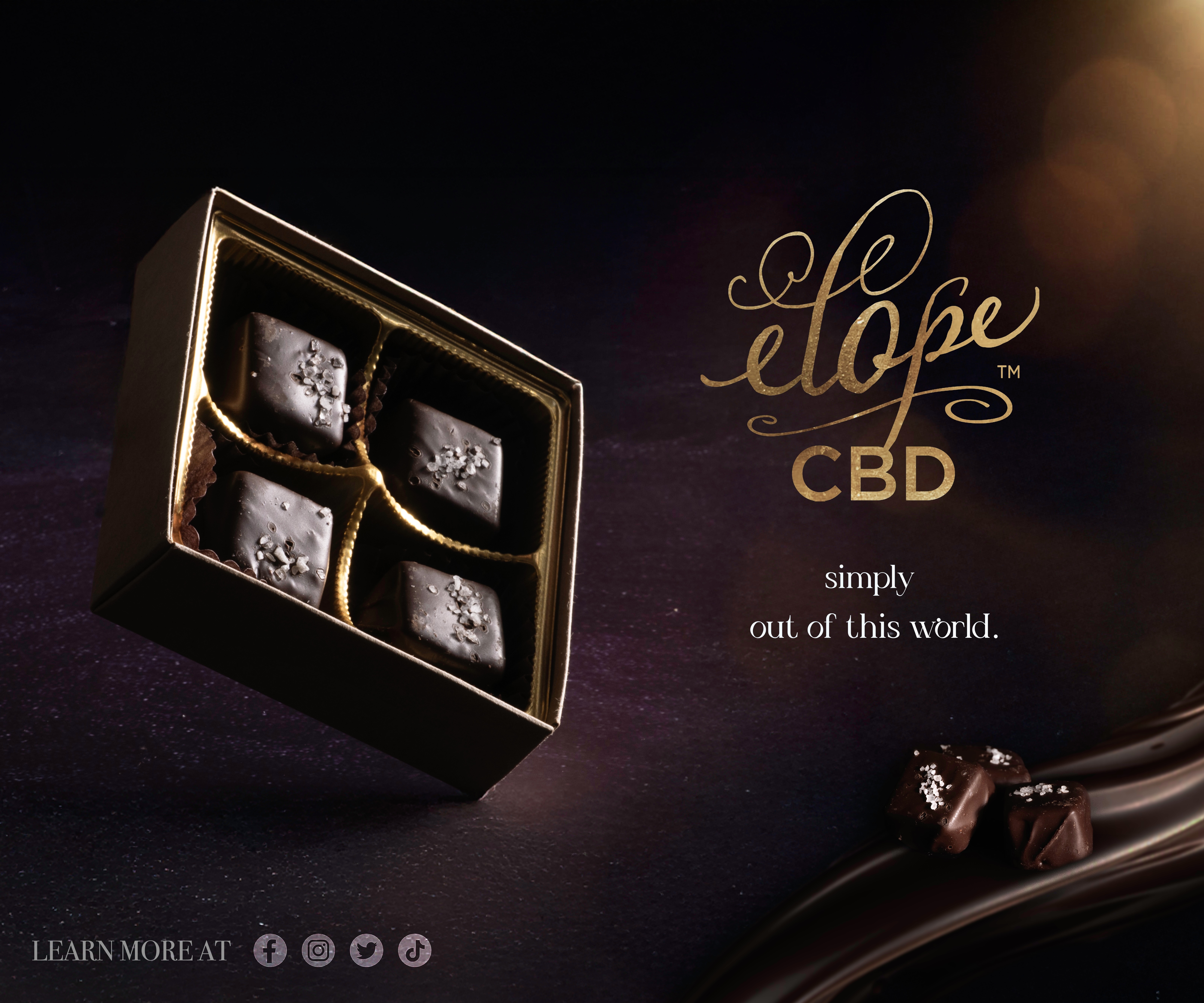 Luxury chocolate product photography by Evolution Marketing