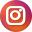 Evolution Marketing Instagram Icon