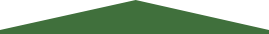 green triangle