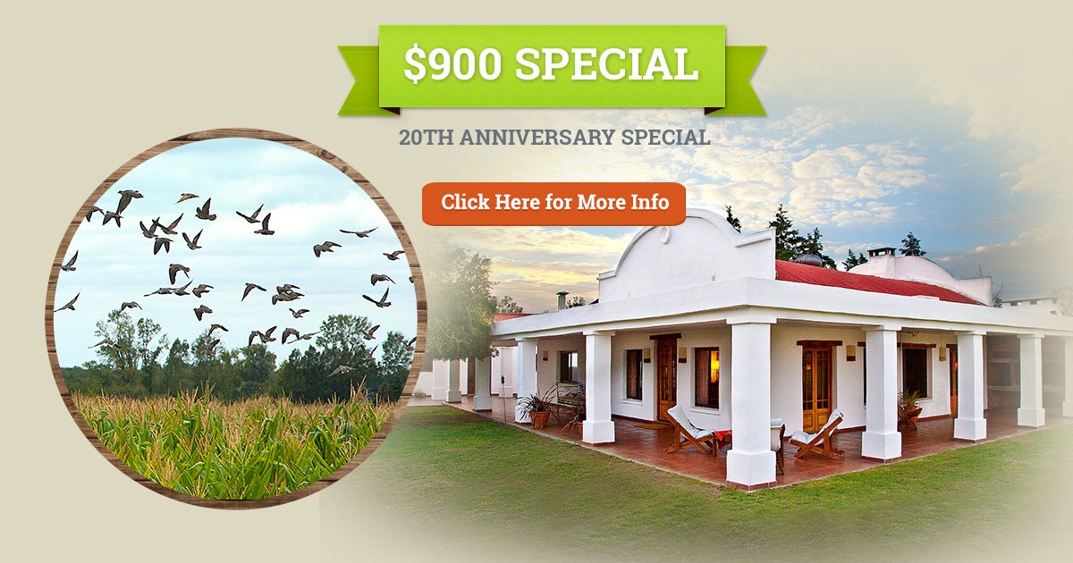 Argentina Dove Hunting Special