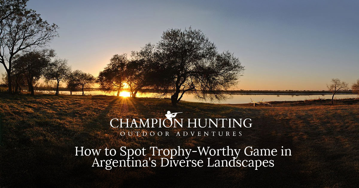 How to Spot Trophy-Worthy Game in Argentina's Diverse Landscapes