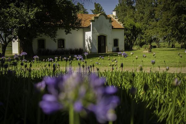 La Forestal Lodge photo