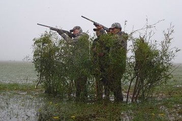 duck-hunting