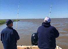 Rainbow Trout Fishing