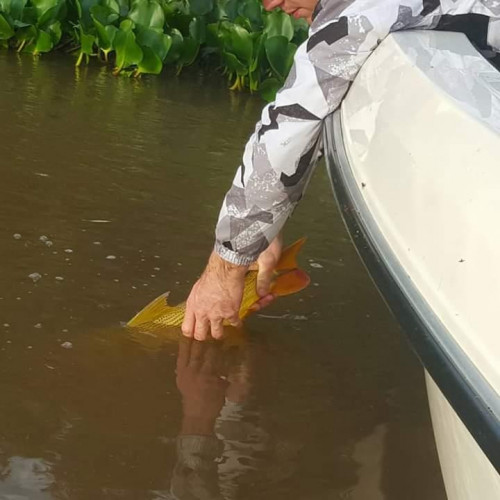 hand putting fish back in the water