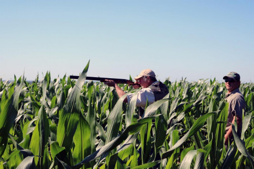 man shooting in a field