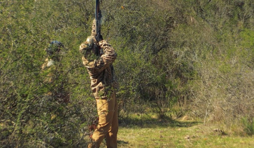 person shooting in the air