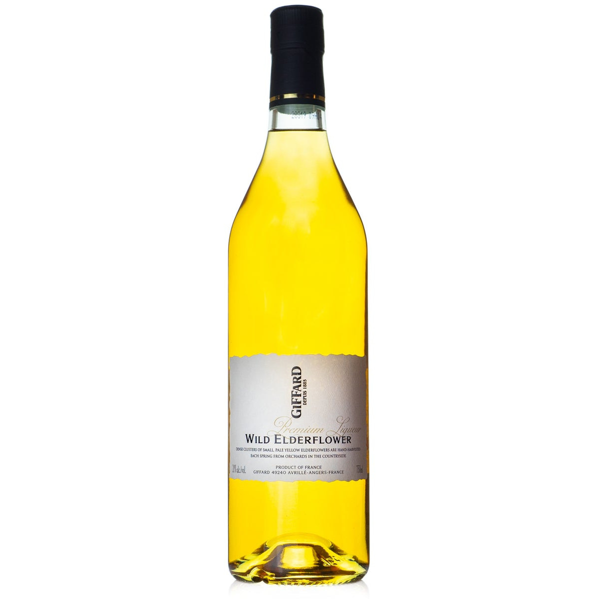 Giffard Wild Elderflower