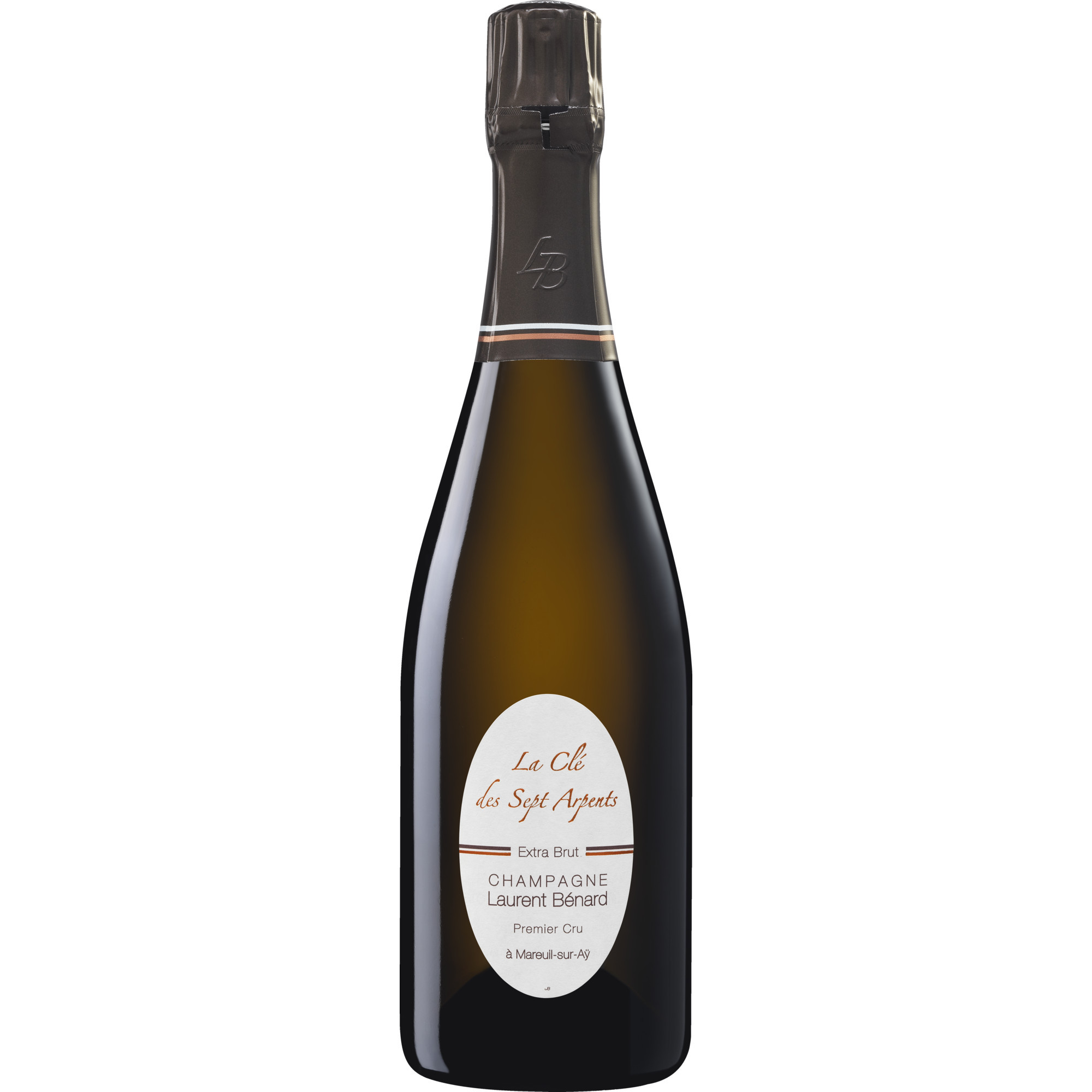 Laurent Benard Le Cle 2014 Xbr