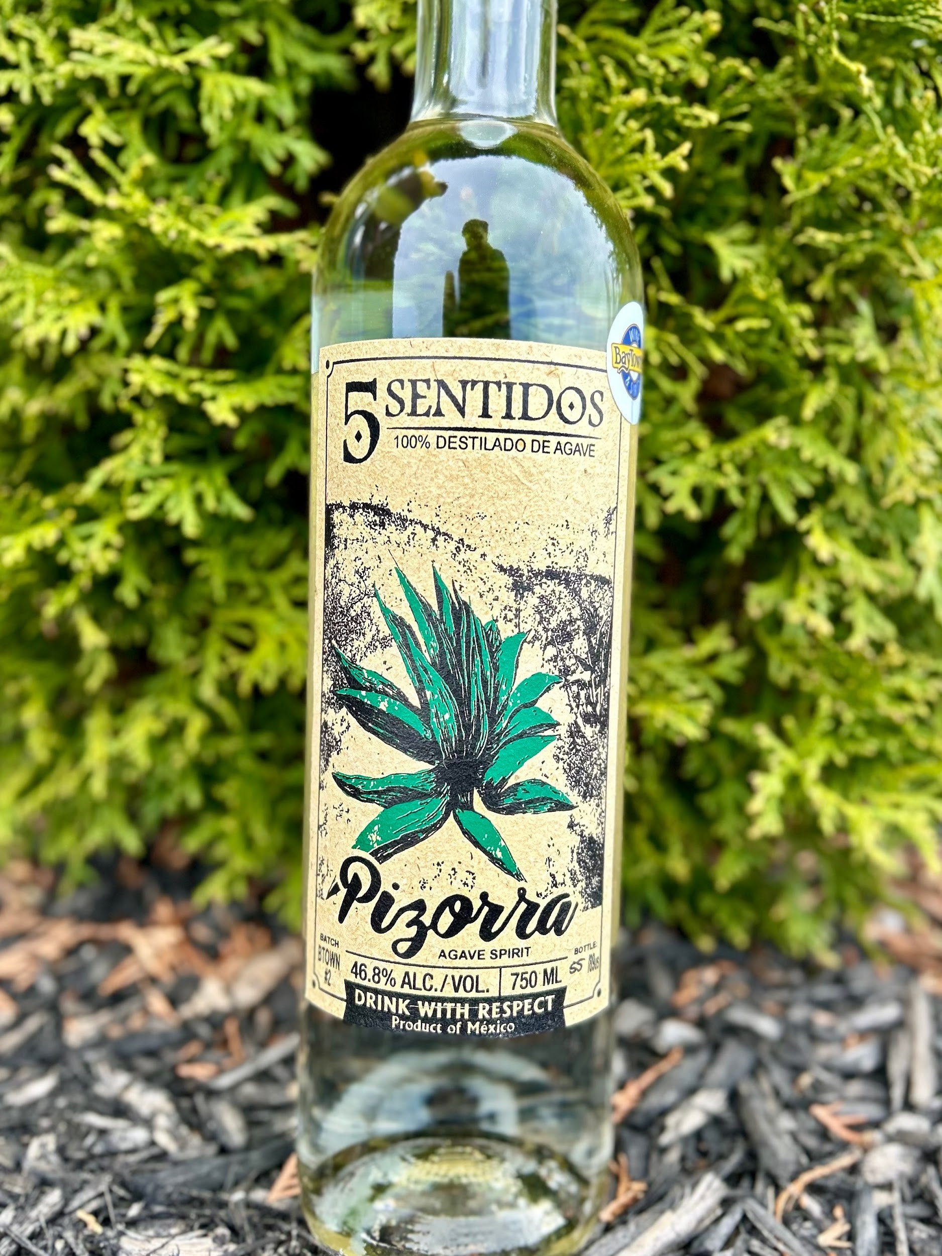 Cinco Sentidos Pizorra Delfino