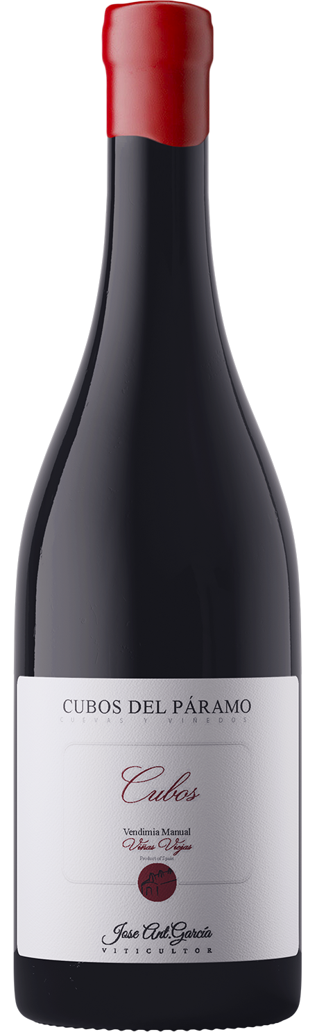 Jose Garcia Cubos Del Paramo