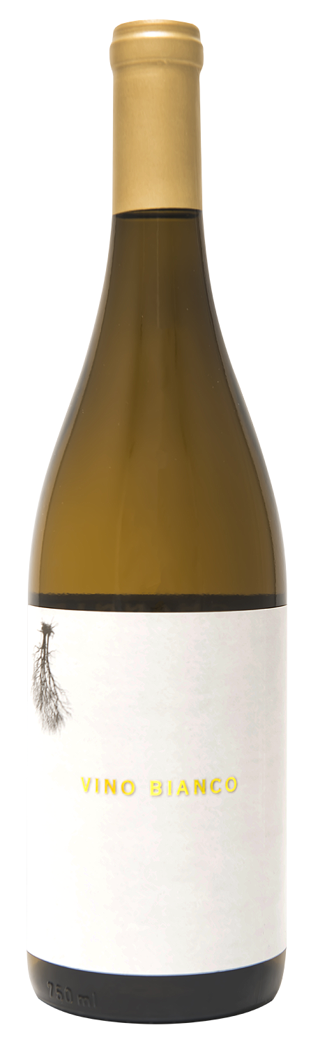 Channing Vino Bianco