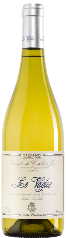 Castelli Di Jesi Verdicchio