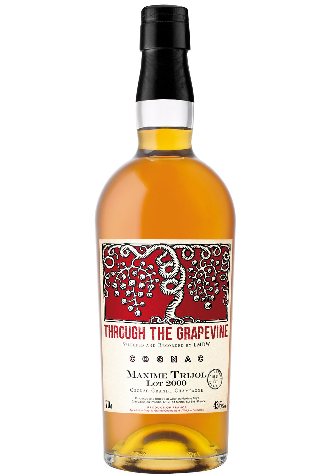 THROUGH GRAPEVINE MAXIME TRIJO