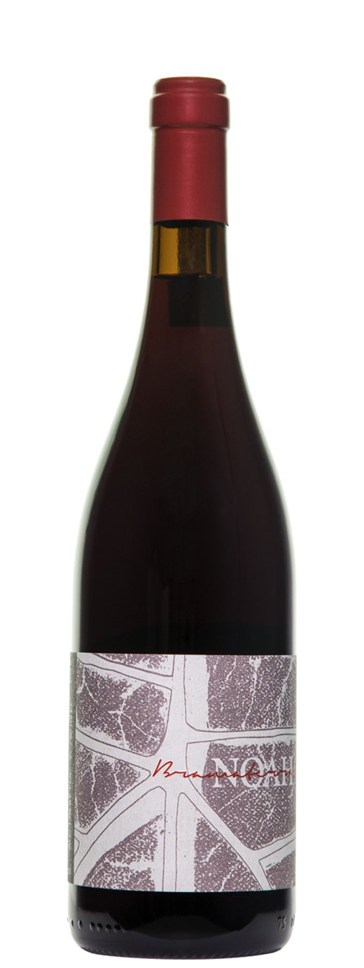 NOAH BRAMATERRA ROSSO