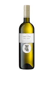 ALOIS LAGEDER TERRA ALPINA PG