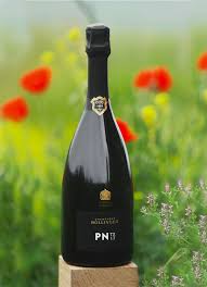 BOLLINGER PN TX17