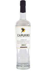 CAPURRO PISCO ACHOLADO