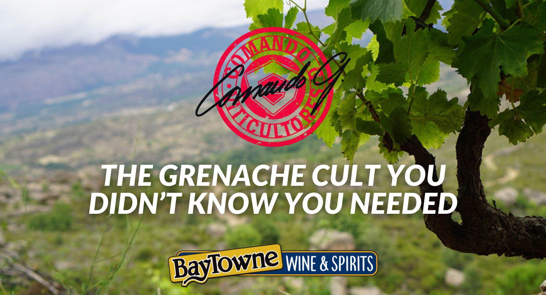 Comando G: The Grenache Cult You Didn’t Know You Needed
