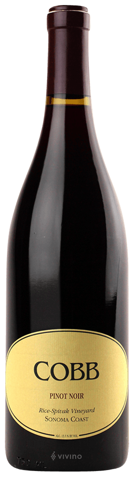 COBB RICE-SPIVAK VYD 2021