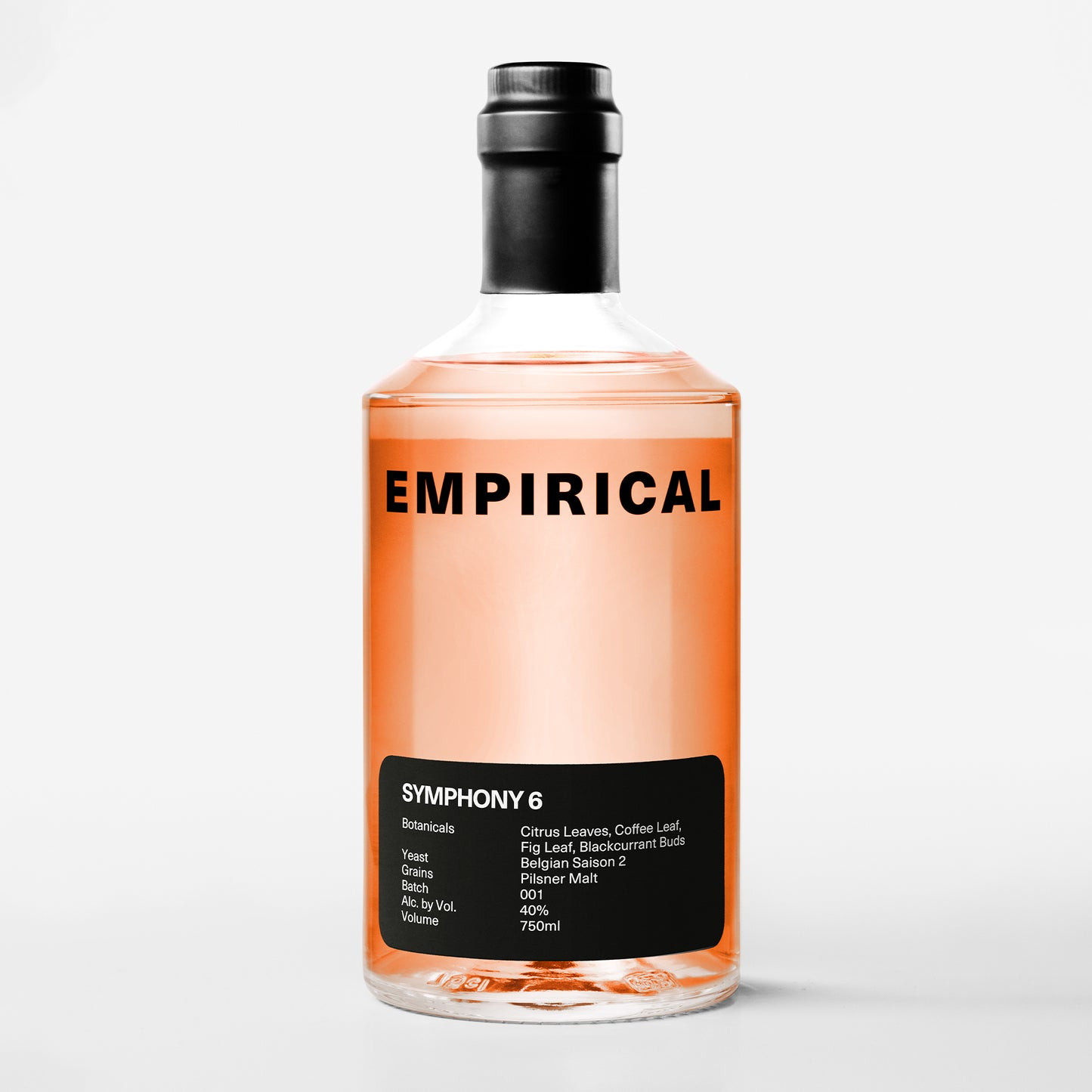EMPIRICAL SYMPHONY 6