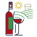 Italian Wine