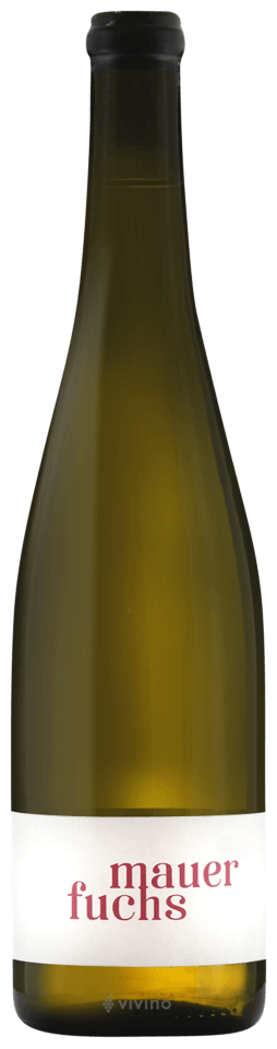 JAKOB TENNSTEDT MAUERFUCHS