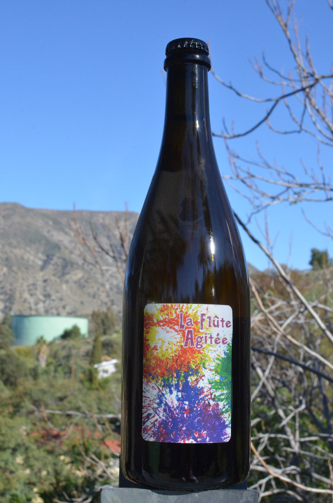 LA COMBE AUX REVES LA FLUTE AG