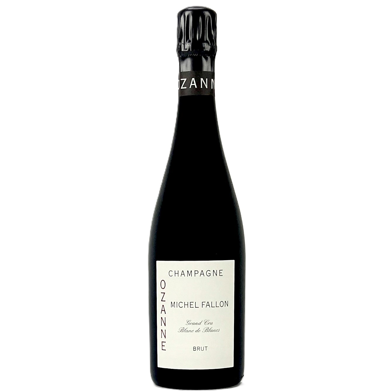 MICHEL FALLON OZANNE BDB