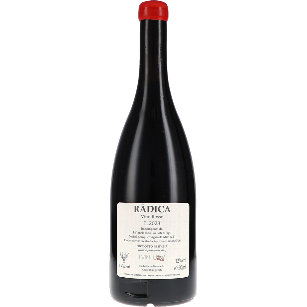 SALVO FOTI I ROSSO RADICA