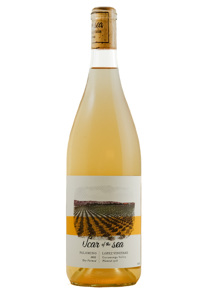 SCAR OF THE SEA PALOMINO