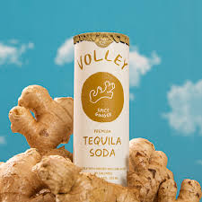 VOLLEY SPICY GINGER