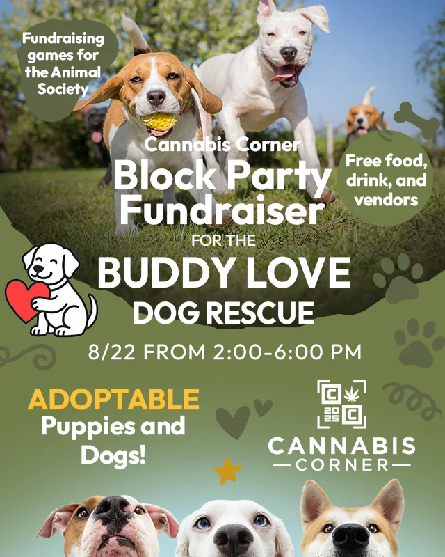 Block Party Fundraiser