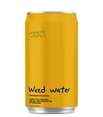 weed water orange can