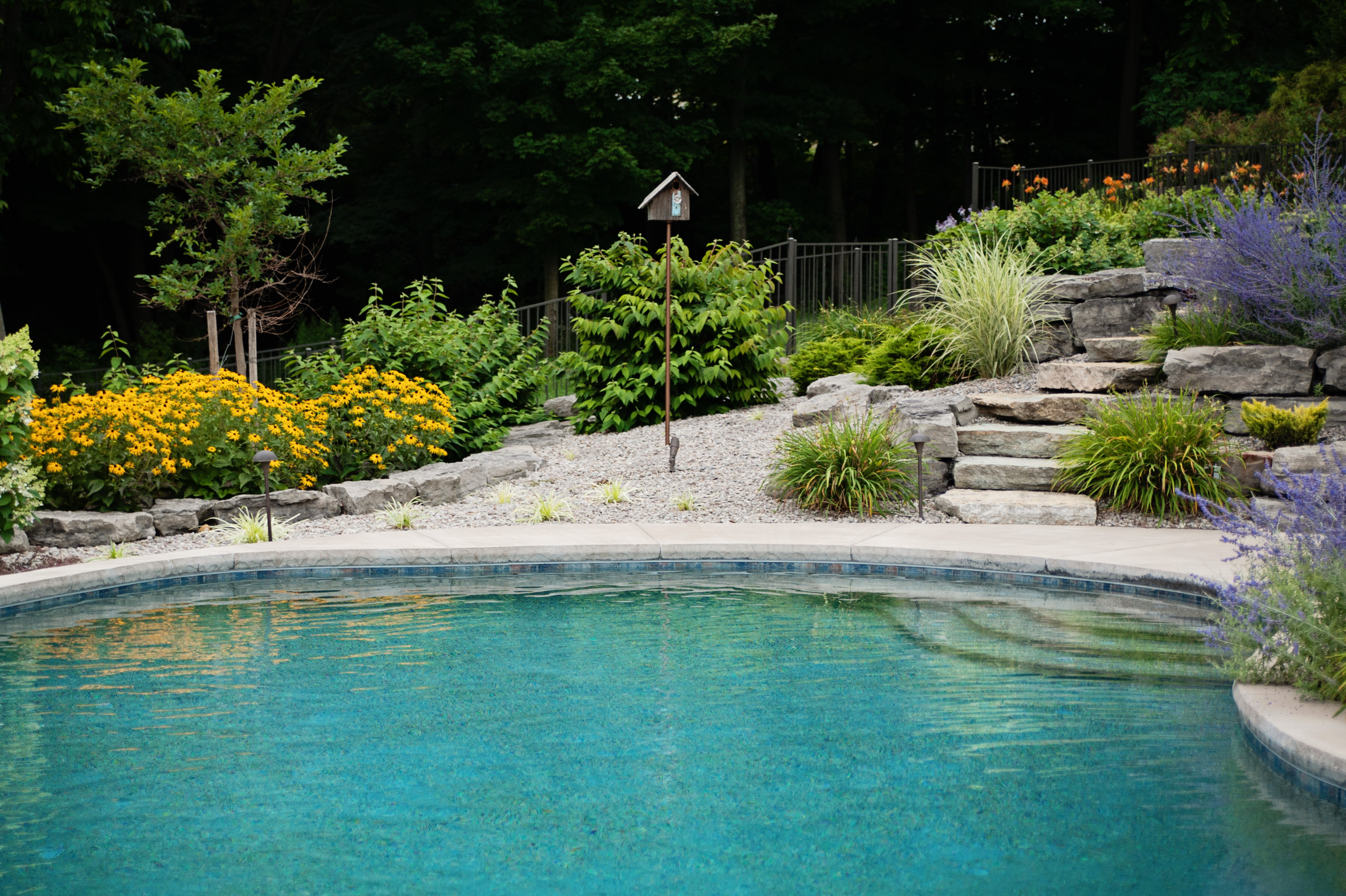 design pool and spa teal pool water with stone landscaping and plants behind pool