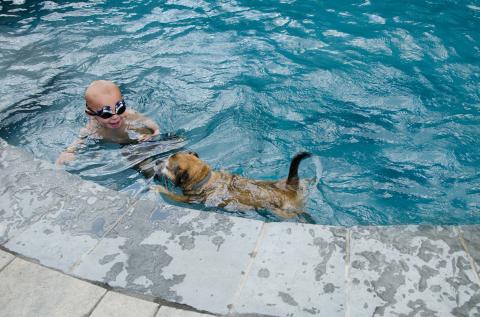 child and dog swimming in a pool