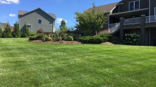 Green lawn with houses, trees, shrubs, and a raised deck under a sunny blue sky with clouds.