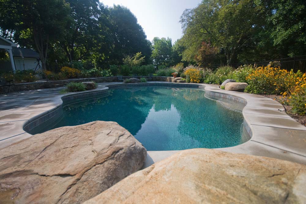 landscaped backyard pool surrounded by rocks, flowers, and trees