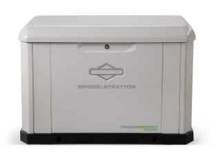 Briggs & Stratton Model 040320